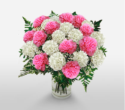 Pink White Carnations in Vase