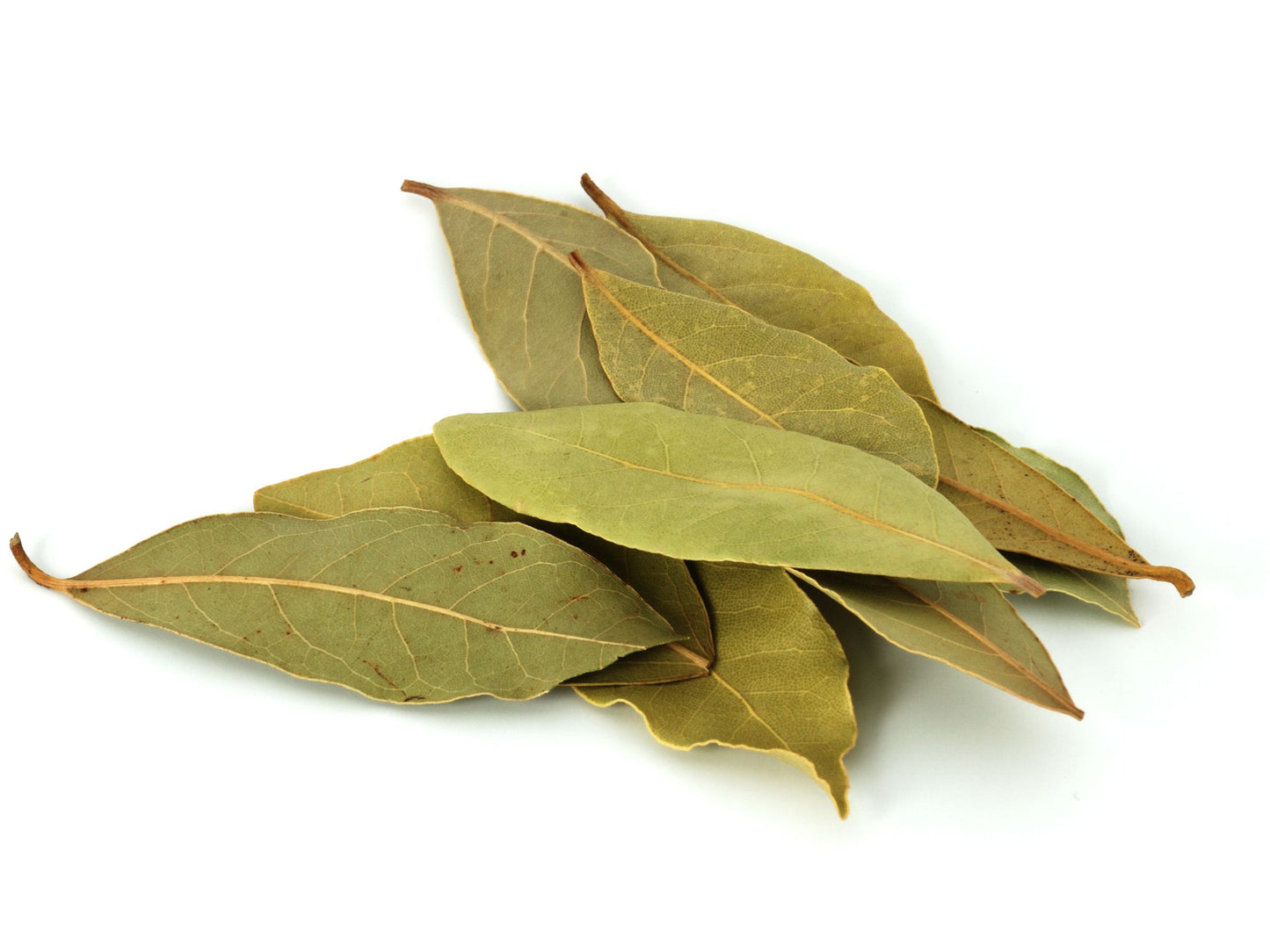 Bay Leaves- Nature's Box