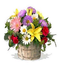 Mixed Flower Basket