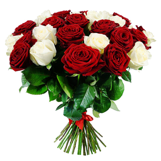 Red and White Roses Bunch