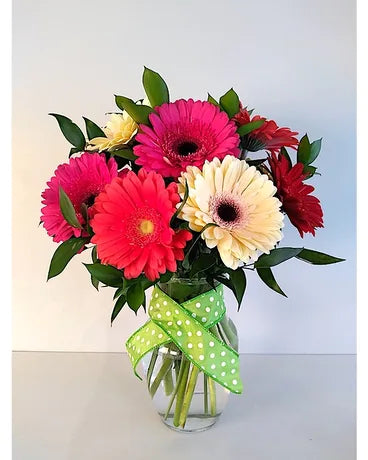 Pink Red and White Gerberas in Vase